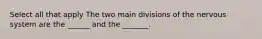 Select all that apply The two main divisions of the nervous system are the ______ and the _______.