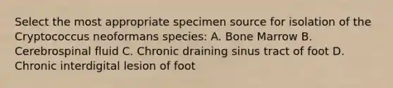 Select the most appropriate specimen source for isolation of the Cryptococcus neoformans species: A. Bone Marrow B. Cerebrospinal fluid C. Chronic draining sinus tract of foot D. Chronic interdigital lesion of foot