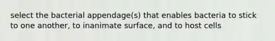 select the bacterial appendage(s) that enables bacteria to stick to one another, to inanimate surface, and to host cells