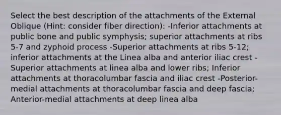 Select the best description of the attachments of the External Oblique (Hint: consider fiber direction): -Inferior attachments at public bone and public symphysis; superior attachments at ribs 5-7 and zyphoid process -Superior attachments at ribs 5-12; inferior attachments at the Linea alba and anterior iliac crest -Superior attachments at linea alba and lower ribs; Inferior attachments at thoracolumbar fascia and iliac crest -Posterior-medial attachments at thoracolumbar fascia and deep fascia; Anterior-medial attachments at deep linea alba