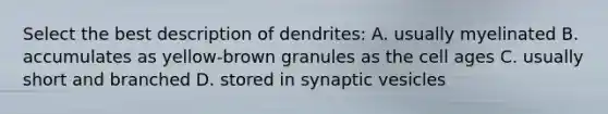 Select the best description of dendrites: A. usually myelinated B. accumulates as yellow-brown granules as the cell ages C. usually short and branched D. stored in synaptic vesicles