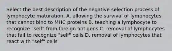 Select the best description of the negative selection process of lymphocyte maturation. A. allowing the survival of lymphocytes that cannot bind to MHC proteins B. teaching a lymphocyte to recognize "self" from foreign antigens C. removal of lymphocytes that fail to recognize "self" cells D. removal of lymphocytes that react with "self" cells