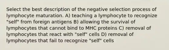 Select the best description of the negative selection process of lymphocyte maturation. A) teaching a lymphocyte to recognize "self" from foreign antigens B) allowing the survival of lymphocytes that cannot bind to MHC proteins C) removal of lymphocytes that react with "self" cells D) removal of lymphocytes that fail to recognize "self" cells