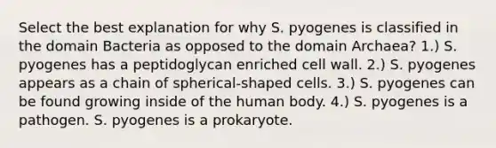 Select the best explanation for why S. pyogenes is classified in the domain Bacteria as opposed to the domain Archaea? 1.) S. pyogenes has a peptidoglycan enriched cell wall. 2.) S. pyogenes appears as a chain of spherical-shaped cells. 3.) S. pyogenes can be found growing inside of the human body. 4.) S. pyogenes is a pathogen. S. pyogenes is a prokaryote.