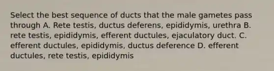 Select the best sequence of ducts that the male gametes pass through A. Rete testis, ductus deferens, epididymis, urethra B. rete testis, epididymis, efferent ductules, ejaculatory duct. C. efferent ductules, epididymis, ductus deference D. efferent ductules, rete testis, epididymis