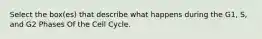 Select the box(es) that describe what happens during the G1, S, and G2 Phases Of the Cell Cycle.