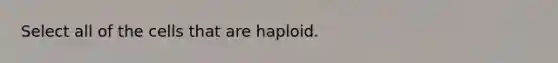 Select all of the cells that are haploid.