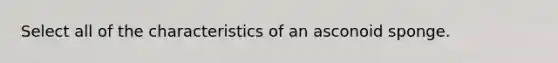 Select all of the characteristics of an asconoid sponge.