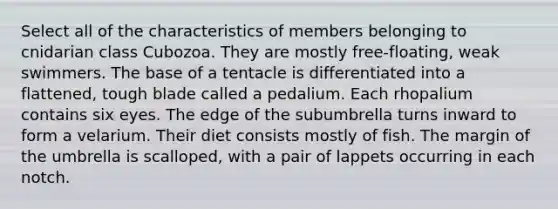 Select all of the characteristics of members belonging to cnidarian class Cubozoa. They are mostly free-floating, weak swimmers. The base of a tentacle is differentiated into a flattened, tough blade called a pedalium. Each rhopalium contains six eyes. The edge of the subumbrella turns inward to form a velarium. Their diet consists mostly of fish. The margin of the umbrella is scalloped, with a pair of lappets occurring in each notch.