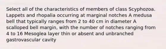 Select all of the characteristics of members of class Scyphozoa. Lappets and rhopalia occurring at marginal notches A medusa bell that typically ranges from 2 to 40 cm in diameter A scalloped bell margin, with the number of notches ranging from 4 to 16 Mesoglea layer thin or absent and unbranched gastrovascular cavity