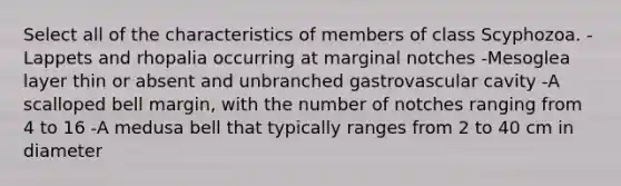 Select all of the characteristics of members of class Scyphozoa. -Lappets and rhopalia occurring at marginal notches -Mesoglea layer thin or absent and unbranched gastrovascular cavity -A scalloped bell margin, with the number of notches ranging from 4 to 16 -A medusa bell that typically ranges from 2 to 40 cm in diameter