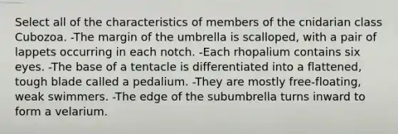 Select all of the characteristics of members of the cnidarian class Cubozoa. -The margin of the umbrella is scalloped, with a pair of lappets occurring in each notch. -Each rhopalium contains six eyes. -The base of a tentacle is differentiated into a flattened, tough blade called a pedalium. -They are mostly free-floating, weak swimmers. -The edge of the subumbrella turns inward to form a velarium.