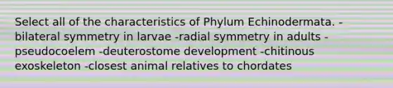 Select all of the characteristics of Phylum Echinodermata. -bilateral symmetry in larvae -radial symmetry in adults -pseudocoelem -deuterostome development -chitinous exoskeleton -closest animal relatives to chordates