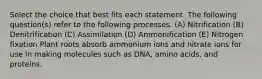 Select the choice that best fits each statement. The following question(s) refer to the following processes. (A) Nitrification (B) Denitrification (C) Assimilation (D) Ammonification (E) Nitrogen fixation Plant roots absorb ammonium ions and nitrate ions for use in making molecules such as DNA, amino acids, and proteins.