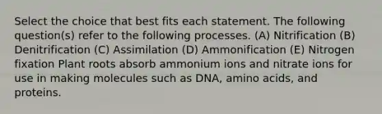 Select the choice that best fits each statement. The following question(s) refer to the following processes. (A) Nitrification (B) Denitrification (C) Assimilation (D) Ammonification (E) Nitrogen fixation Plant roots absorb ammonium ions and nitrate ions for use in making molecules such as DNA, amino acids, and proteins.