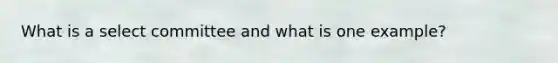 What is a select committee and what is one example?