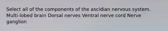 Select all of the components of the ascidian nervous system. Multi-lobed brain Dorsal nerves Ventral nerve cord Nerve ganglion