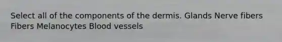 Select all of the components of the dermis. Glands Nerve fibers Fibers Melanocytes Blood vessels