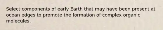 Select components of early Earth that may have been present at ocean edges to promote the formation of complex organic molecules.