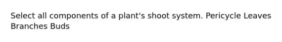 Select all components of a plant's shoot system. Pericycle Leaves Branches Buds