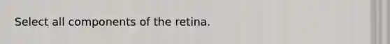 Select all components of the retina.