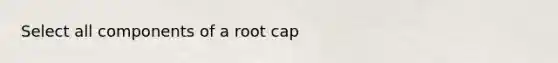 Select all components of a root cap