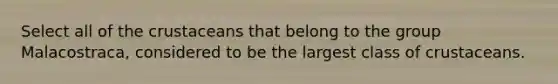 Select all of the crustaceans that belong to the group Malacostraca, considered to be the largest class of crustaceans.