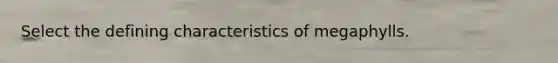 Select the defining characteristics of megaphylls.