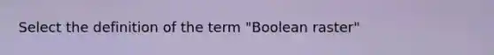 Select the definition of the term "Boolean raster"