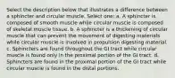 Select the description below that illustrates a difference between a sphincter and circular muscle. Select one: a. A sphincter is composed of smooth muscle while circular muscle is composed of skeletal muscle tissue. b. A sphincter is a thickening of circular muscle that can prevent the movement of digesting materials while circular muscle is involved in propulsion digesting material. c. Sphincters are found throughout the GI tract while circular muscle is found only in the proximal portion of the GI tract. d. Sphincters are found in the proximal portion of the GI tract while circular muscle is found in the distal portions.