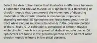 Select the description below that illustrates a difference between a sphincter and circular muscle. A) A sphincter is a thickening of circular muscle that can prevent the movement of digesting materials while circular muscle is involved in propulsion digesting material. B) Sphincters are found throughout the GI tract while circular muscle is found only in the proximal portion of the GI tract. C) A sphincter is composed of smooth muscle while circular muscle is composed of skeletal muscle tissue. D) Sphincters are found in the proximal portion of the GI tract while circular muscle is found in the distal portions.