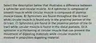 Select the description below that illustrates a difference between a sphincter and circular muscle. A) A sphincter is composed of smooth muscle while circular muscle is composed of skeletal muscle tissue. B) Sphincters are found throughout the GI tract while circular muscle is found only in the proximal portion of the GI tract. C) Sphincters are found in the proximal portion of the GI tract while circular muscle is found in the distal portions. D) A sphincter is a thickening of circular muscle that can prevent the movement of digesting materials while circular muscle is involved in propulsion digesting material.