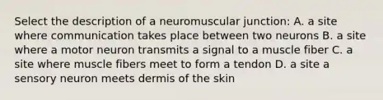 Select the description of a neuromuscular junction: A. a site where communication takes place between two neurons B. a site where a motor neuron transmits a signal to a muscle fiber C. a site where muscle fibers meet to form a tendon D. a site a sensory neuron meets dermis of the skin