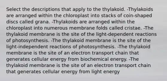 Select the descriptions that apply to the thylakoid. -Thylakoids are arranged within the chloroplast into stacks of coin‑shaped discs called grana. -Thylakoids are arranged within the chloroplast into numerous membrane folds called cristae. -The thylakoid membrane is the site of the light‑dependent reactions of photosynthesis. -The thylakoid membrane is the site of the light‑independent reactions of photosynthesis. -The thylakoid membrane is the site of an electron transport chain that generates cellular energy from biochemical energy. -The thylakoid membrane is the site of an electron transport chain that generates cellular energy from light energy