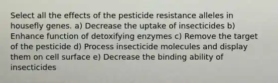 Select all the effects of the pesticide resistance alleles in housefly genes. a) Decrease the uptake of insecticides b) Enhance function of detoxifying enzymes c) Remove the target of the pesticide d) Process insecticide molecules and display them on cell surface e) Decrease the binding ability of insecticides