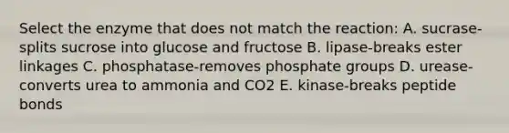 Select the enzyme that does not match the reaction: A. sucrase-splits sucrose into glucose and fructose B. lipase-breaks ester linkages C. phosphatase-removes phosphate groups D. urease-converts urea to ammonia and CO2 E. kinase-breaks peptide bonds