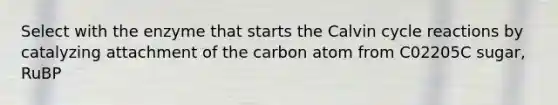 Select with the enzyme that starts the Calvin cycle reactions by catalyzing attachment of the carbon atom from C02205C sugar, RuBP