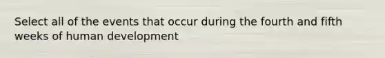 Select all of the events that occur during the fourth and fifth weeks of human development