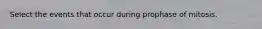 Select the events that occur during prophase of mitosis.