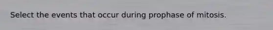 Select the events that occur during prophase of mitosis.
