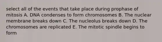 select all of the events that take place during prophase of mitosis A. DNA condenses to form chromosomes B. The nuclear membrane breaks down C. The nucleolus breaks down D. The chromosomes are replicated E. The mitotic spindle begins to form