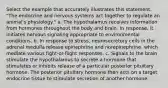 Select the example that accurately illustrates this statement. "The endocrine and nervous systems act together to regulate an animal's physiology." a. The hypothalamus receives information from hormones throughout the body and brain. In response, it initiates nervous signaling appropriate to environmental conditions. b. In response to stress, neurosecretory cells in the adrenal medulla release epinephrine and norepinephrine, which mediate various fight-or-flight responses. c. Signals to the brain stimulate the hypothalamus to secrete a hormone that stimulates or inhibits release of a particular posterior pituitary hormone. The posterior pituitary hormone then acts on a target endocrine tissue to stimulate secretion of another hormone.