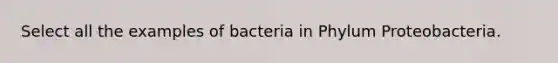 Select all the examples of bacteria in Phylum Proteobacteria.