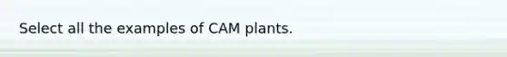 Select all the examples of CAM plants.