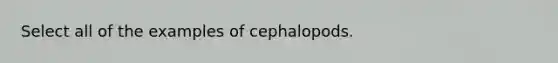 Select all of the examples of cephalopods.