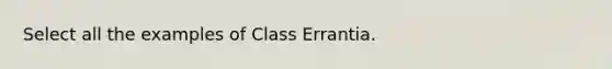 Select all the examples of Class Errantia.