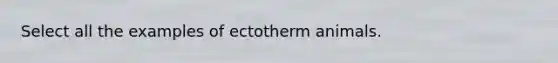 Select all the examples of ectotherm animals.