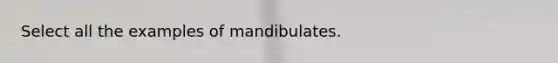 Select all the examples of mandibulates.