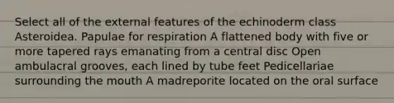 Select all of the external features of the echinoderm class Asteroidea. Papulae for respiration A flattened body with five or more tapered rays emanating from a central disc Open ambulacral grooves, each lined by tube feet Pedicellariae surrounding <a href='https://www.questionai.com/knowledge/krBoWYDU6j-the-mouth' class='anchor-knowledge'>the mouth</a> A madreporite located on the oral surface