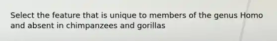 Select the feature that is unique to members of the genus Homo and absent in chimpanzees and gorillas